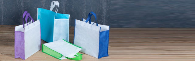 ساک و بگ اسپان | زرین بگ