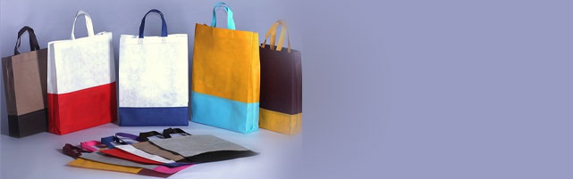 انواع بگ و ساک پارچه ای دوختی | زرین بگ